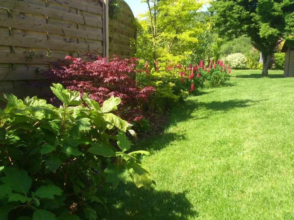 jardin-3